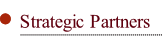 Strategic Partners