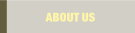 ABOUT US.
